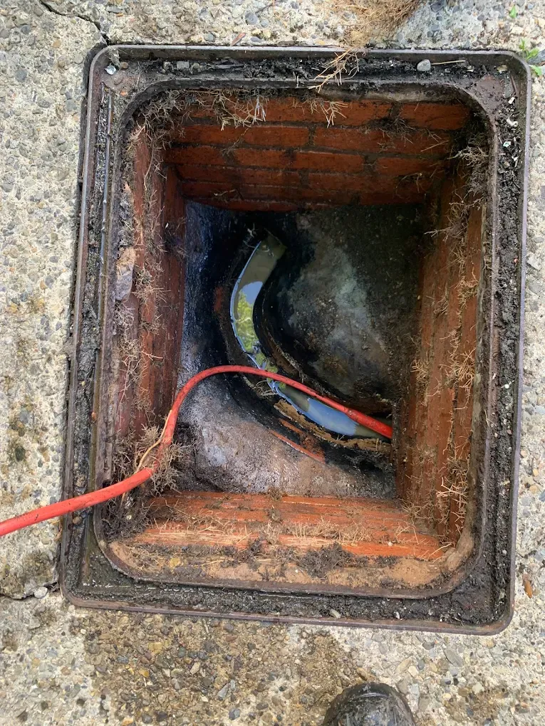 An open drain with roots and standing water